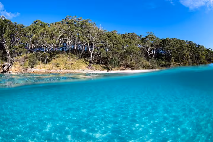 Crystal-clear waters and lush forest backdrop at Jervis Bay, perfect for private tours with hassle-free pickup service.