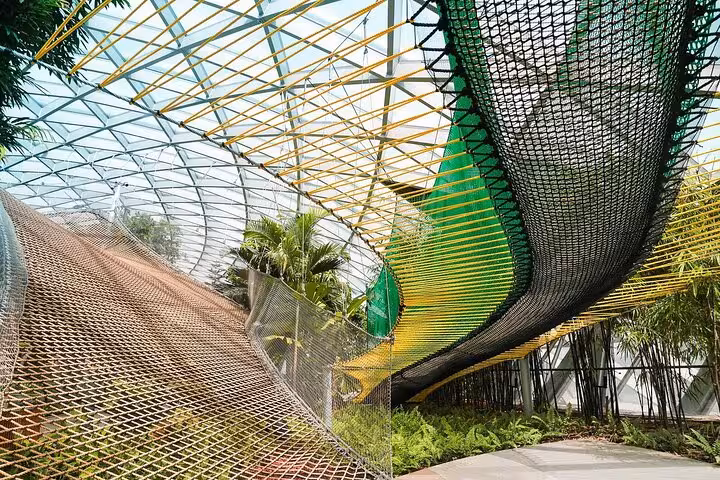 Jewel Changi Canopy Park net bridge walk under glass dome, Singapore airport attraction admission ticket