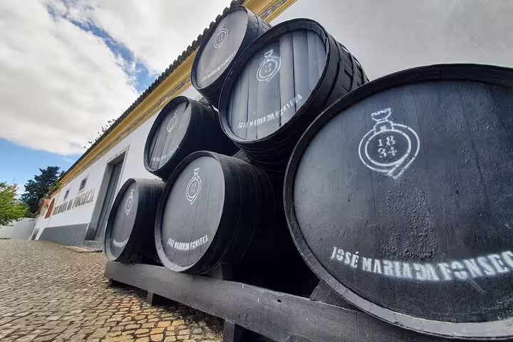 Large wine barrels at José Maria da Fonseca winery in Azeitão, featured on a full-day tour from Lisbon exploring Arrábida and Setúbal.