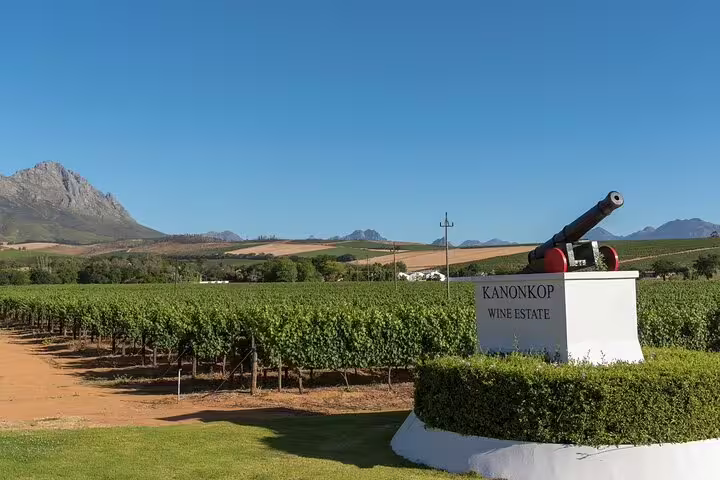 Kanonkop Wine Estate vineyards near Stellenbosch, a scenic stop on a private Cape Town wine tasting tour