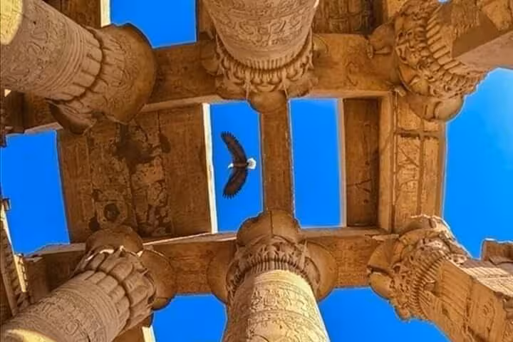 Majestic view of Karnak Temple's ancient columns with a bird soaring against the clear blue sky in Luxor, Egypt.