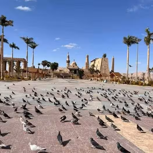 Historic Karnak Temple surrounded by palm trees and pigeons under a clear blue sky, a glimpse into ancient Egypt.