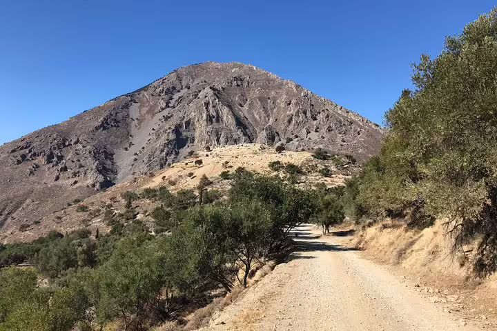 A scenic dirt road leads through olive groves towards a majestic mountain in the Katharo Plateau under a clear blue sky.