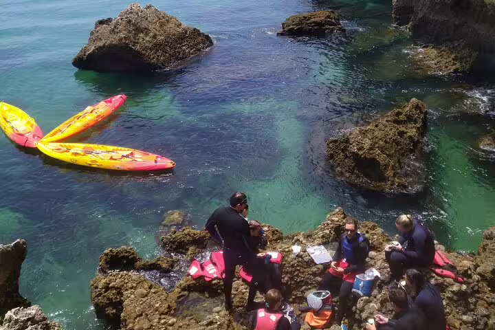 Adventurers enjoy a picnic on rugged cliffs during a kayak and coasteering tour from Lisbon, with kayaks floating nearby.