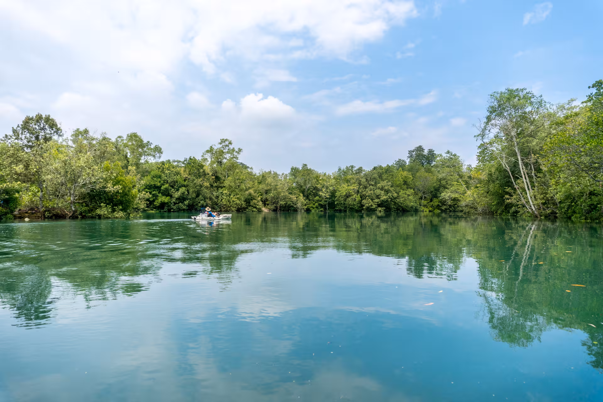 Kayakers paddle through serene Pulau Ubin mangroves, surrounded by lush greenery and calm waters under a blue sky.