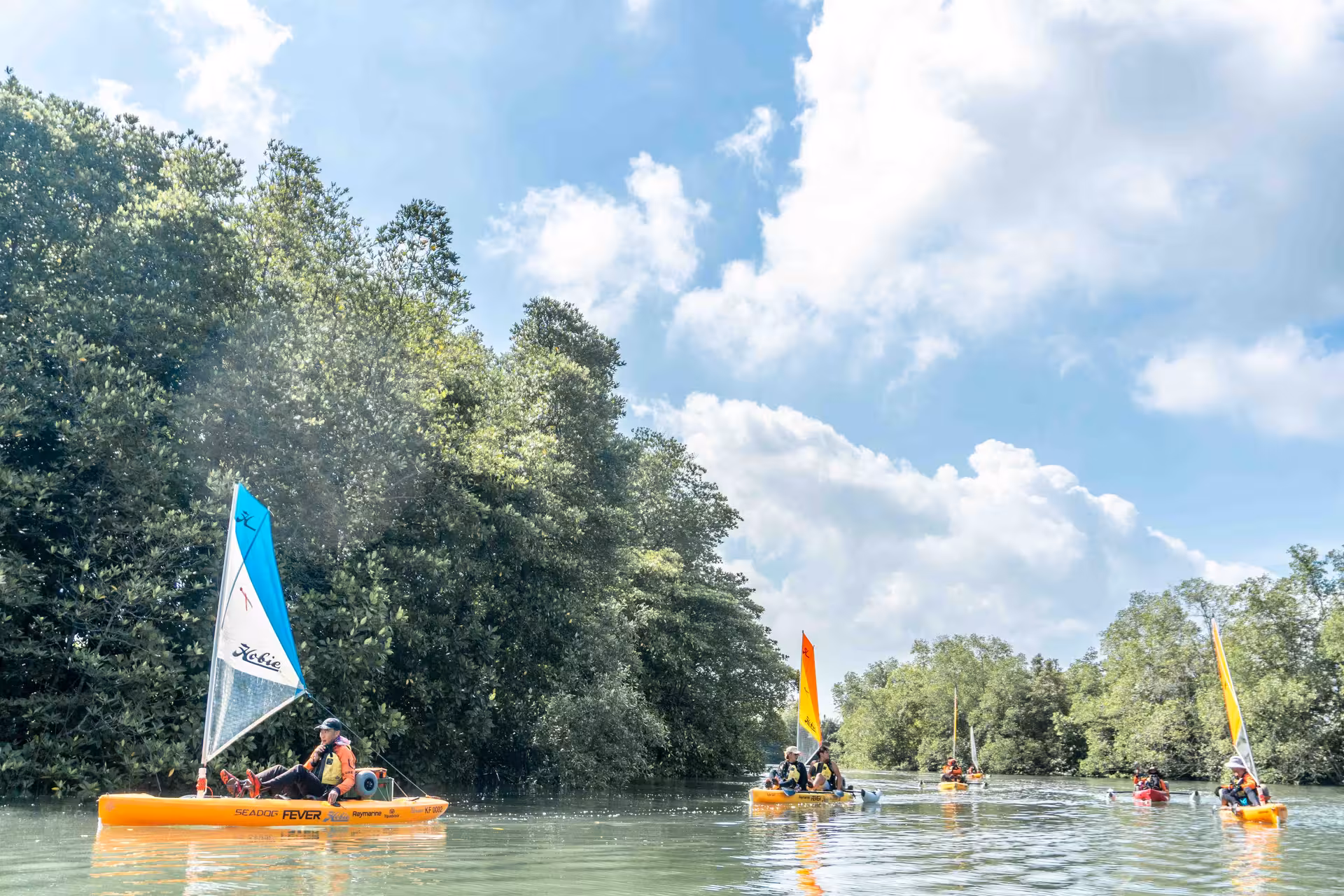 Group of kayakers navigate scenic waterways surrounded by lush greenery on a kayak sailing tour.