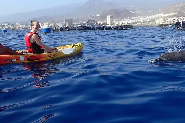 Kayaker enjoying a scenic view of the coastline with a dolphin surfacing nearby in crystal blue waters.
