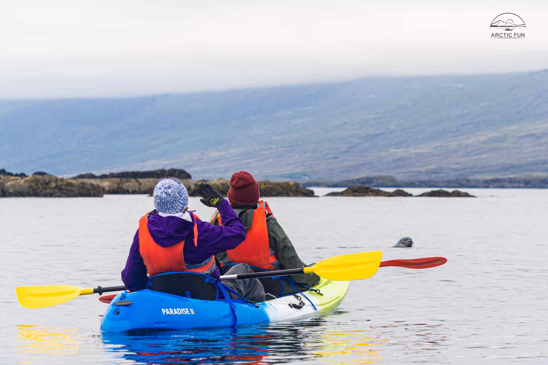 Two kayakers spot a seal in Berufjörður's calm waters, enjoying wildlife and scenic views in Iceland's East Fjords.