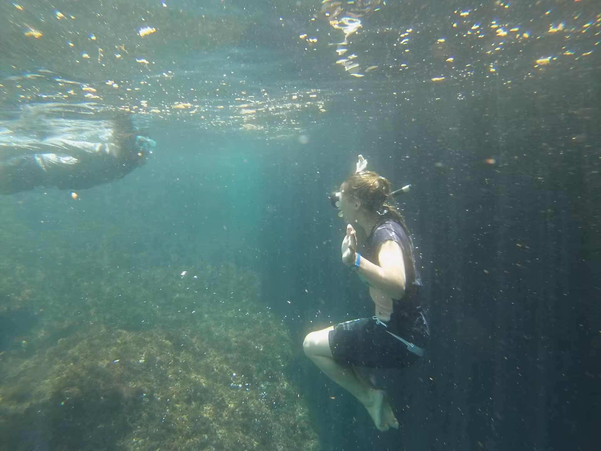 Underwater snorkeling during Kayak Calanques et Îles de Marseille, exploring rocky seabed in turquoise sea