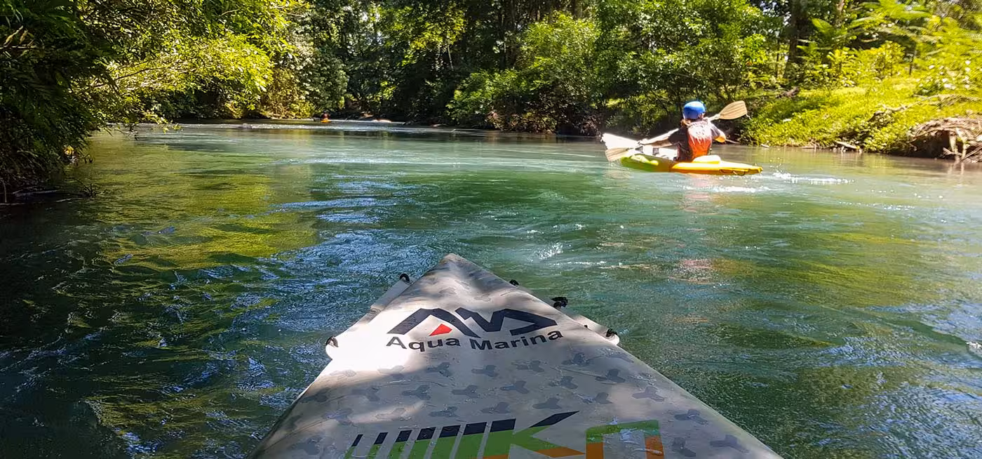 Kayaker paddles through lush greenery on the serene Río Frío, ideal for adventure and nature enthusiasts.