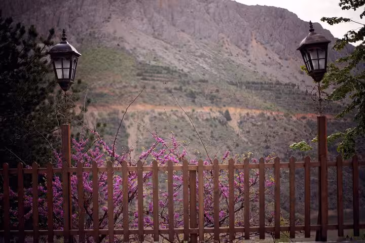 Mountain view from Kemaliye garden terrace with lanterns and spring blossoms on 2-day guided tour