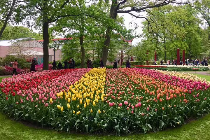 Colorful tulip beds in Keukenhof Gardens, Lisse, on a small-group day tour from Amsterdam