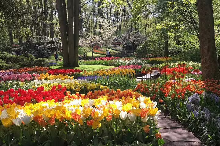 Keukenhof Gardens spring tulip beds and winding path on a half-day tour from Amsterdam, Netherlands