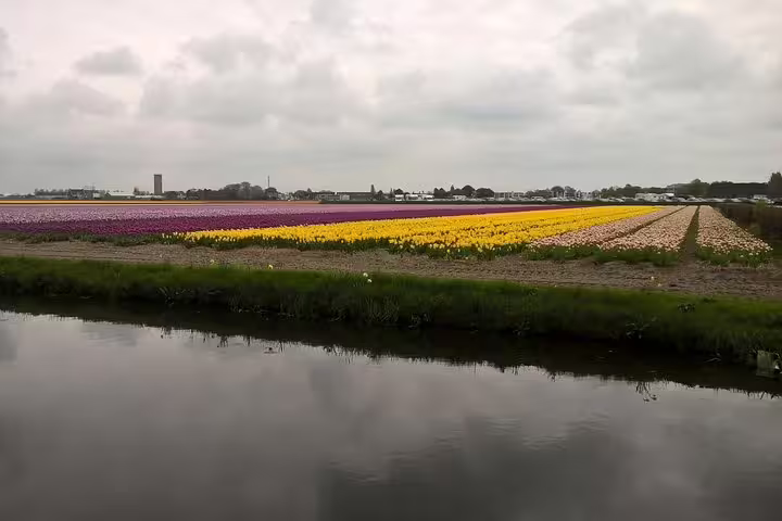 Colorful tulip fields near Keukenhof reflected in canal, springtime day trip from Amsterdam with small-group tour