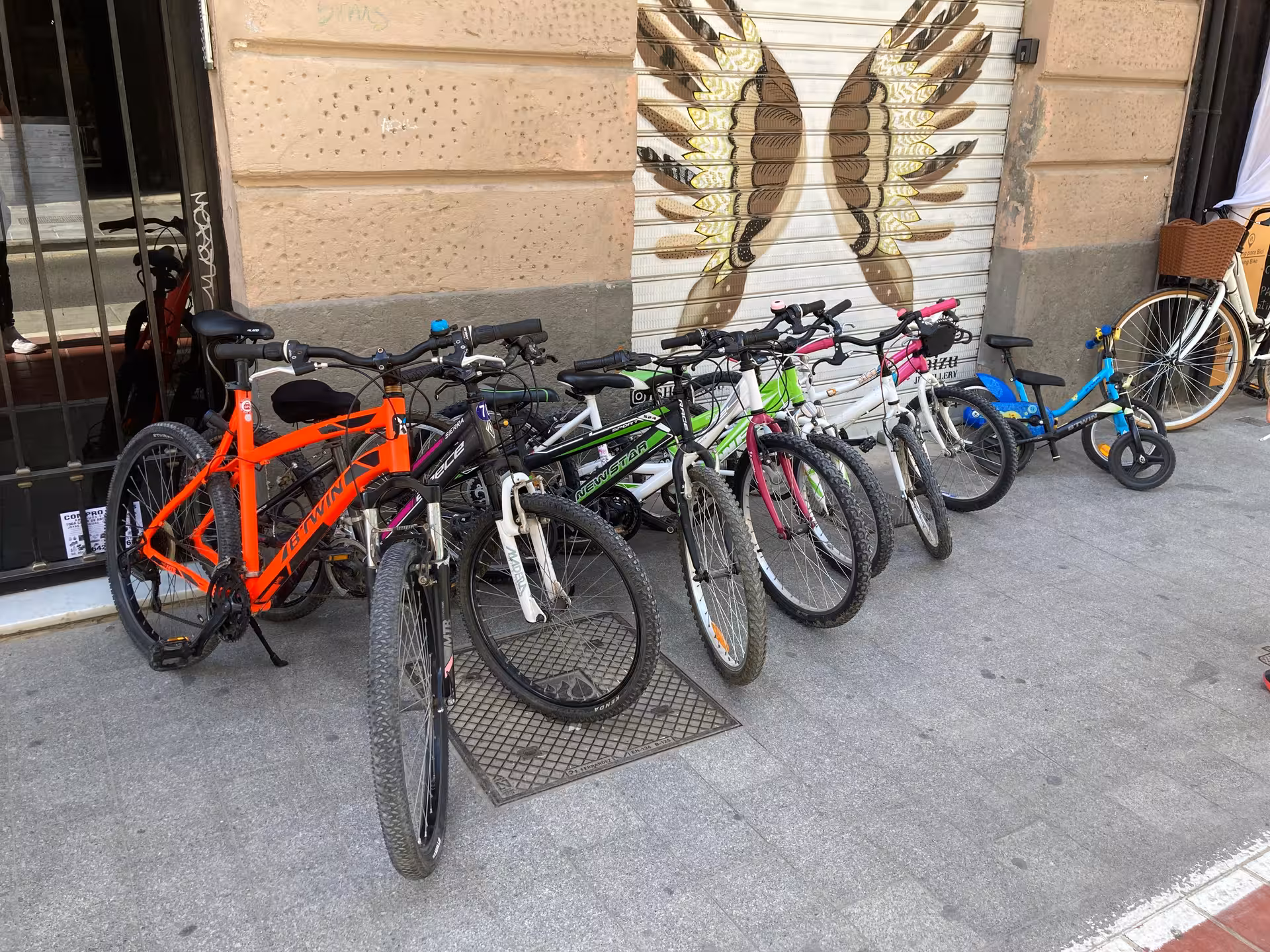 Row of kids and youth rental bikes outside a city shop, child-friendly bicycle hire with multiple sizes available