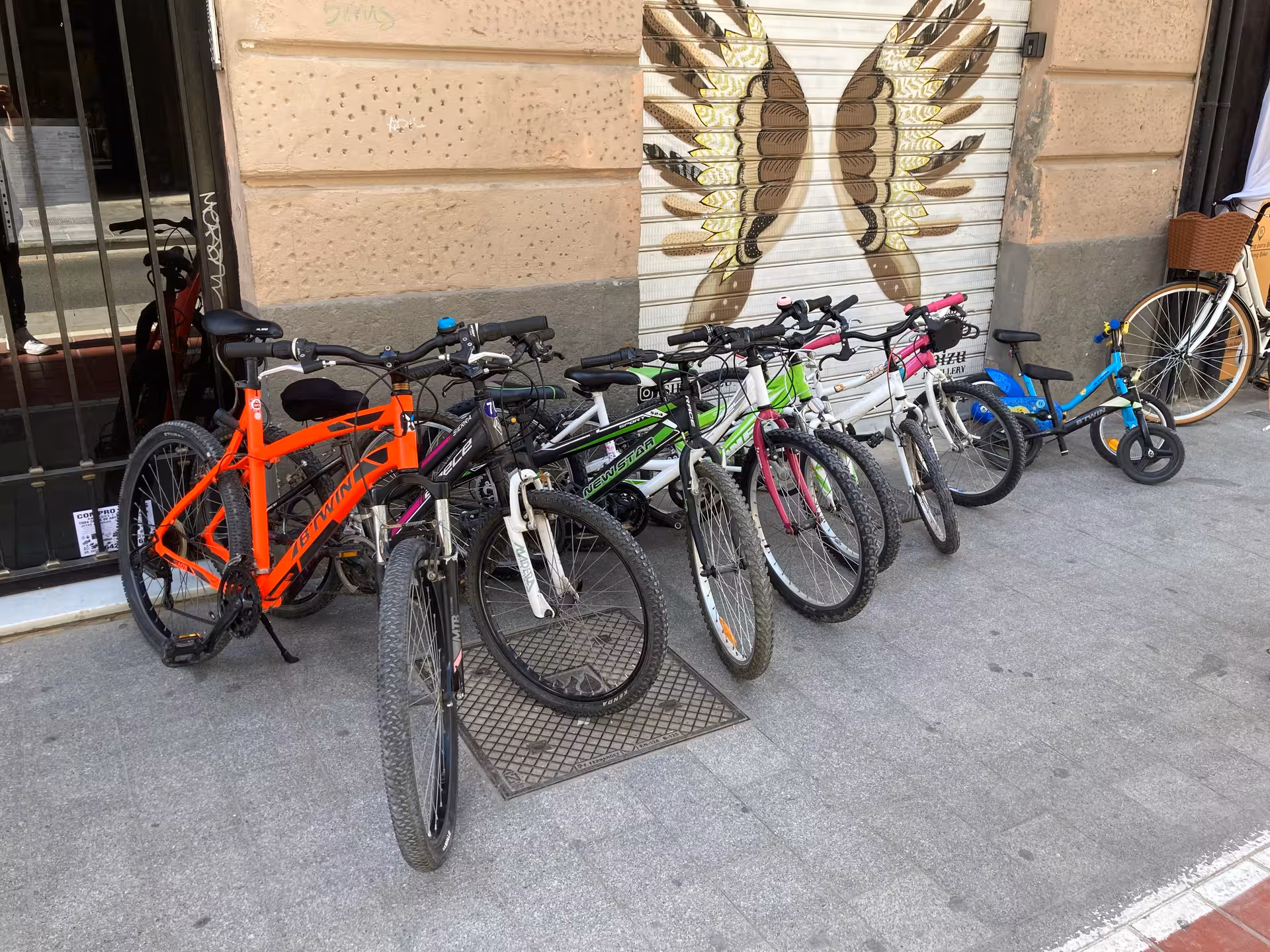 Row of kids city bikes for rent, multiple sizes and colors, ideal for family-friendly urban bike tours