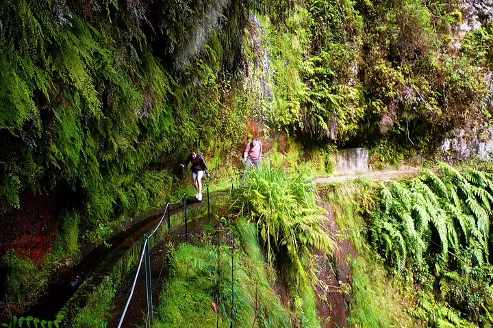 Hikers walking along the lush green King's Levada trail with protective railings, showcasing Madeira's natural beauty.