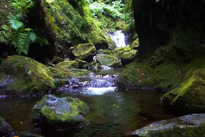 Serene King's Levada waterfall surrounded by lush green moss and rocks in Ribeiro Bonito, ideal for nature lovers.