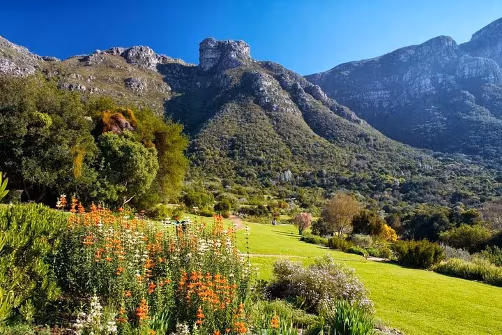 Lush landscapes and mountain backdrop at Kirstenbosch Gardens, a must-visit on the Cape of Good Hope tour.