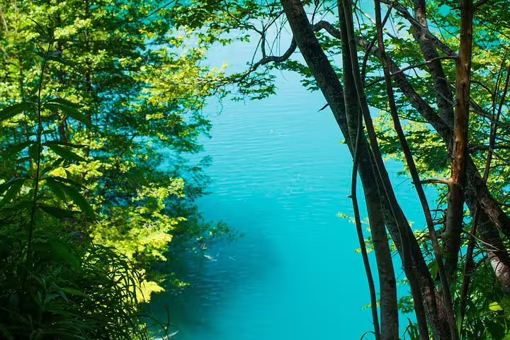 Turquoise Plitvice lake framed by forest on a guided group adventure day trip from Split, Croatia