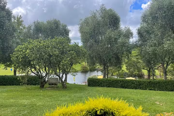 Scenic vineyard landscape with lush greenery and a tranquil pond on the Kumeu Wine Tour.