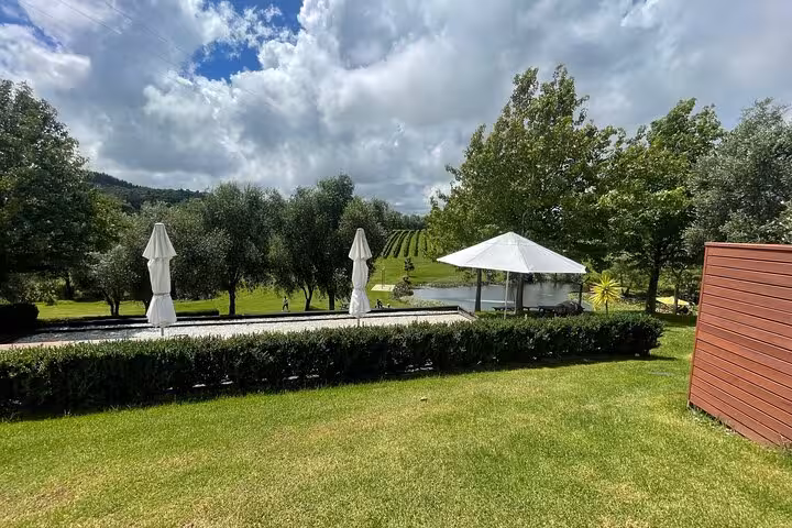Scenic view of Kumeu vineyard with lush greenery and patio umbrellas under a cloudy sky, perfect for wine tour relaxation.