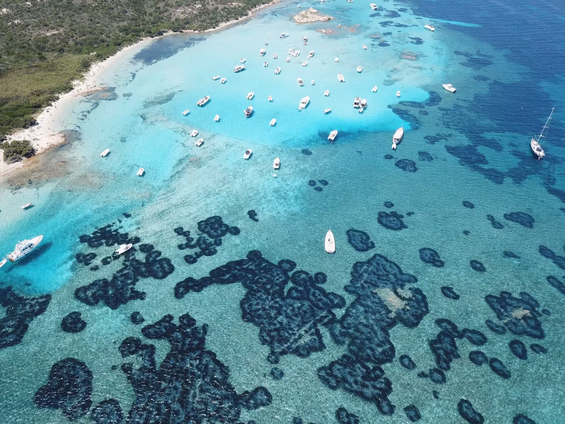 Aerial view of boats anchored in the turquoise waters of La Maddalena Archipelago, showcasing vibrant marine life.