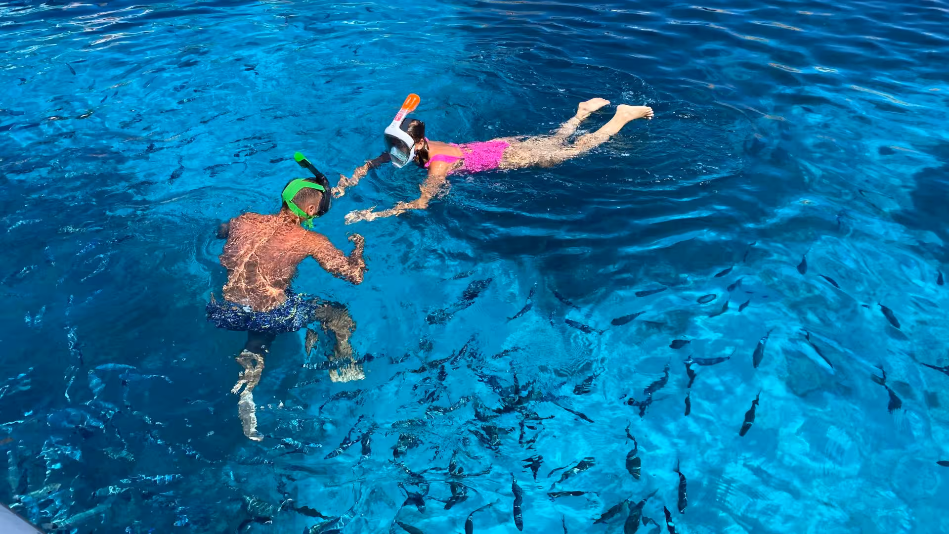 Snorkelers explore vibrant marine life in the crystal-clear waters of La Maddalena archipelago on a wooden boat tour.