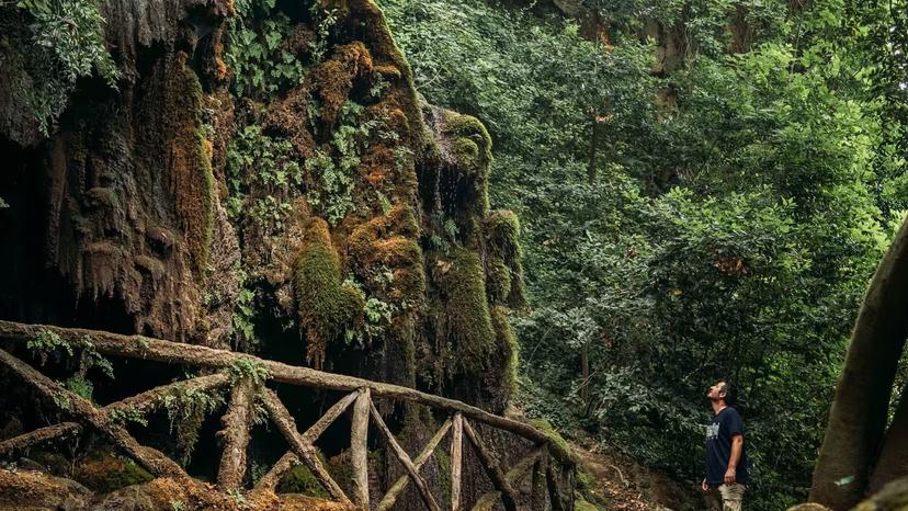 Man admiring lush moss-covered cliffs and greenery on a scenic nature walk in Laconi village.