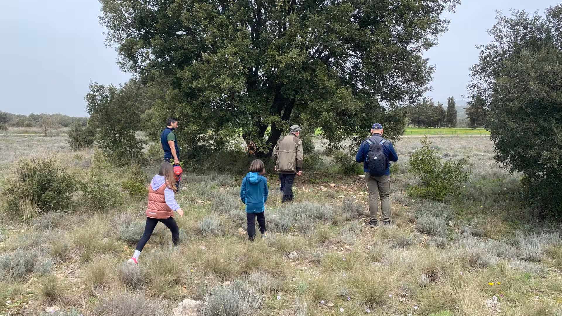 A group of people truffle hunting in the scenic landscape of Laconi, surrounded by lush greenery and trees.