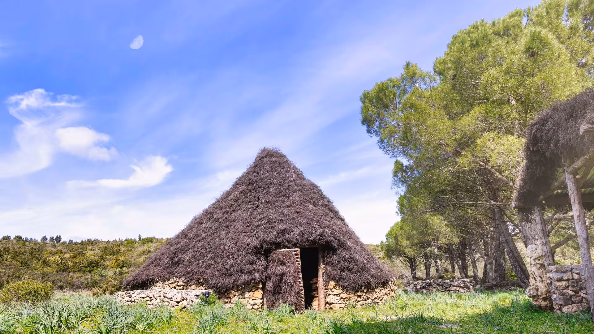 Traditional thatched hut amidst lush greenery in Laconi, offering cultural immersion during truffle hunting excursion.