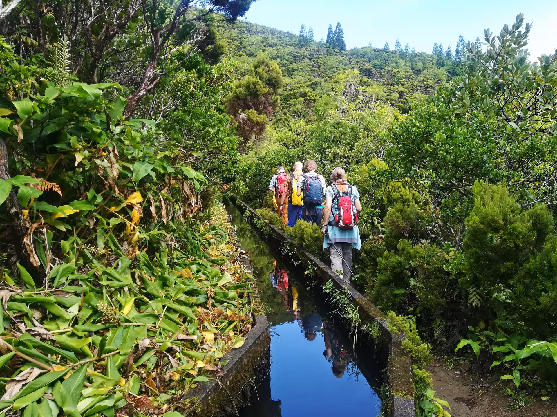 Hikers trekking along a lush levada path on the Lagoa do Fogo full-day walking tour in São Miguel, Azores