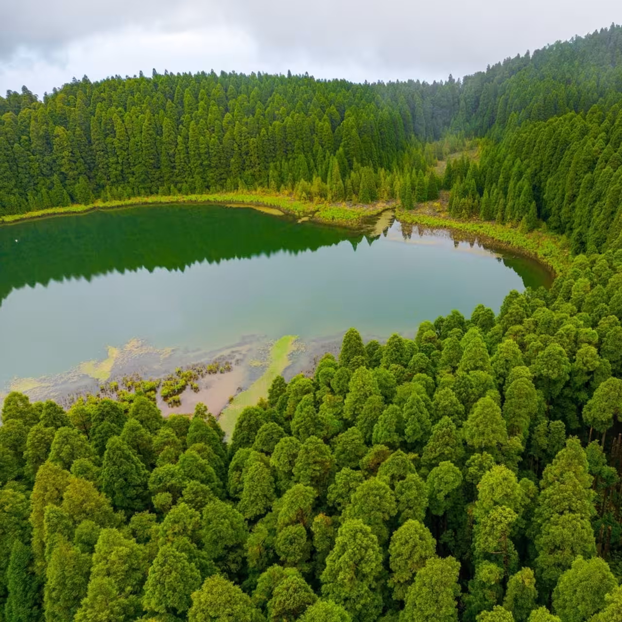 Aerial view of Lagoa Verde in Sete Cidades crater, lush forest stop on Seven Cities full-day walking tour with lunch