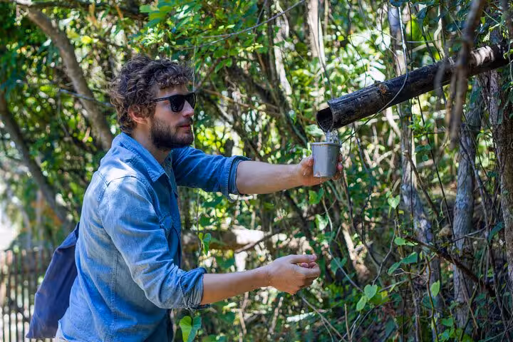 Traveler enjoying fresh water from a bamboo pipe amidst the greenery on Lagoinha do Leste hiking tour.