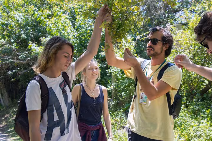 Tourists exploring flora with a guide on the scenic trails of Lagoinha do Leste hike.