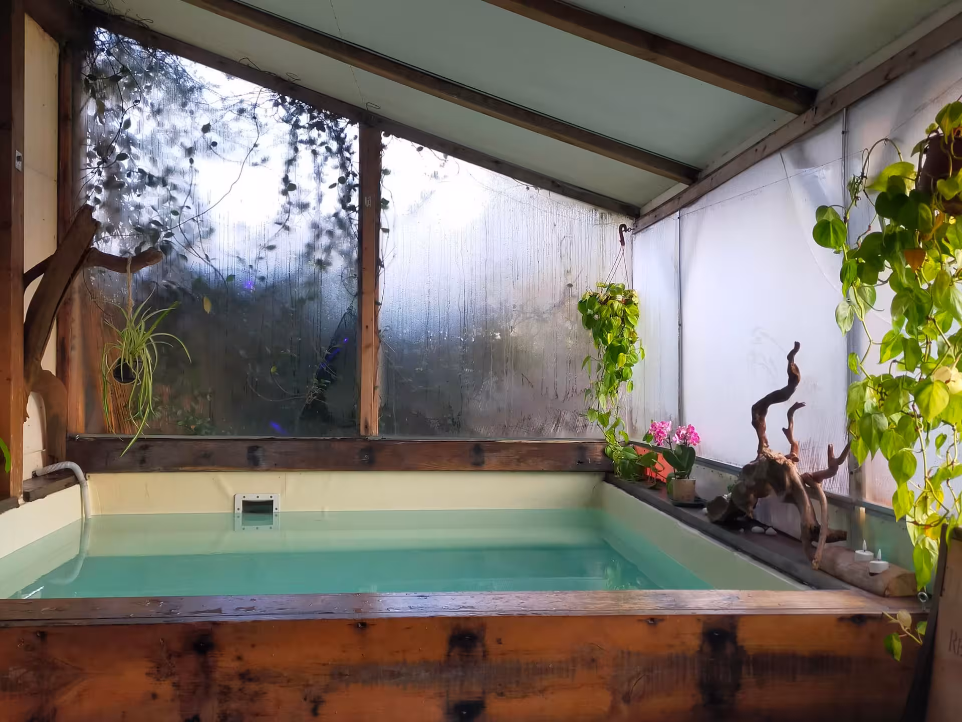 Relaxing spa pool surrounded by lush greenery at Langhe wellness retreat, perfect for a serene wine-infused escape.