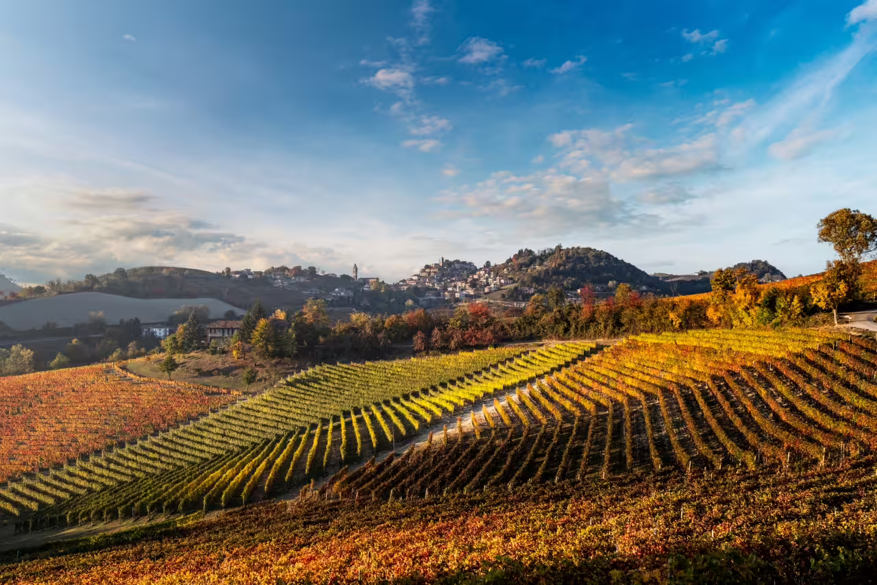 Rolling Langhe vineyards at golden hour near Cantina Moscone, setting for dynamic wine tasting tour