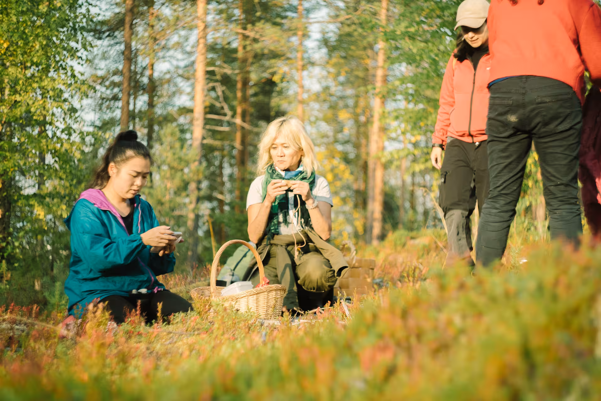 Group of people foraging with baskets in Lapland forest, discovering wild berries and mushrooms on guided tour.