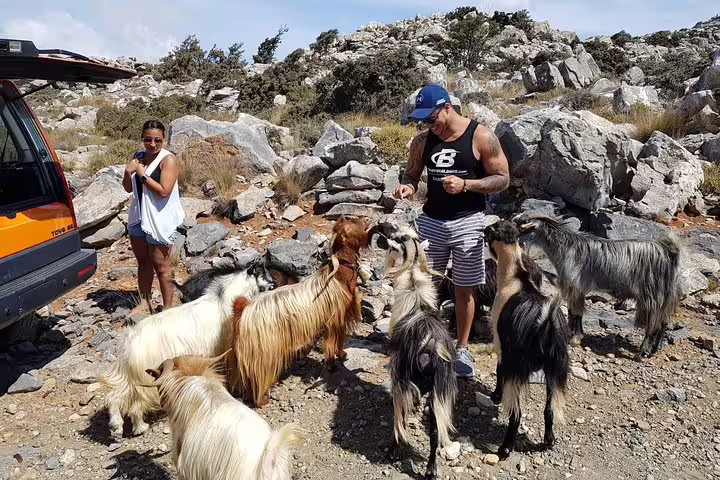 Tourists feeding goats near a vehicle on rocky terrain in the scenic Lassithi Plateau, Crete.