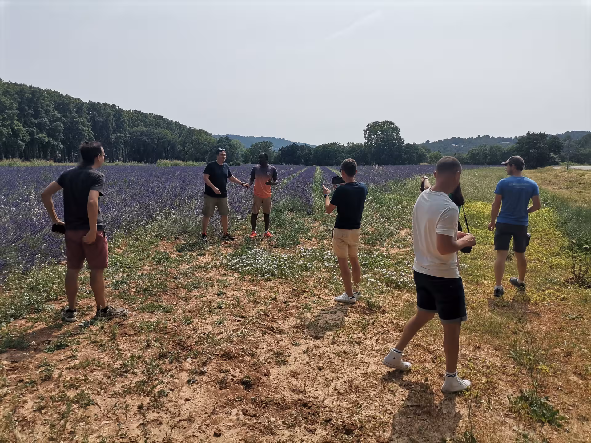 Small group tour in a blooming lavender field, guests taking photos among purple rows in Provence countryside