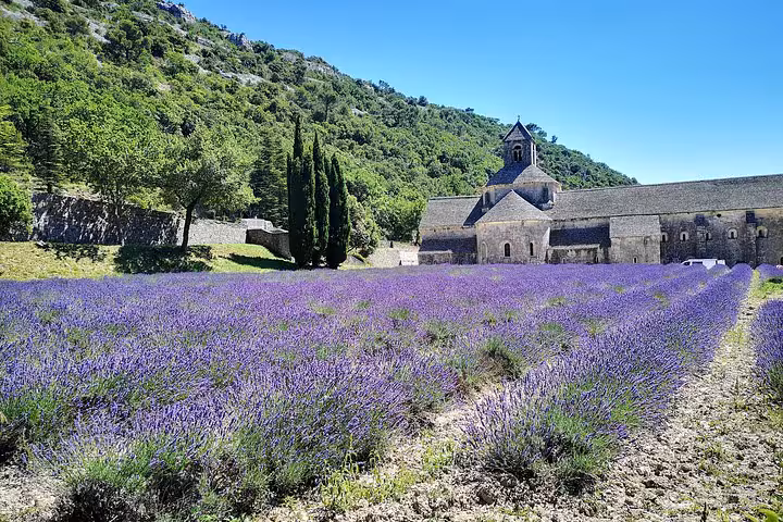 Lavender fields by Sénanque Abbey near Gordes, iconic view on an Arles private day trip to Luberon villages