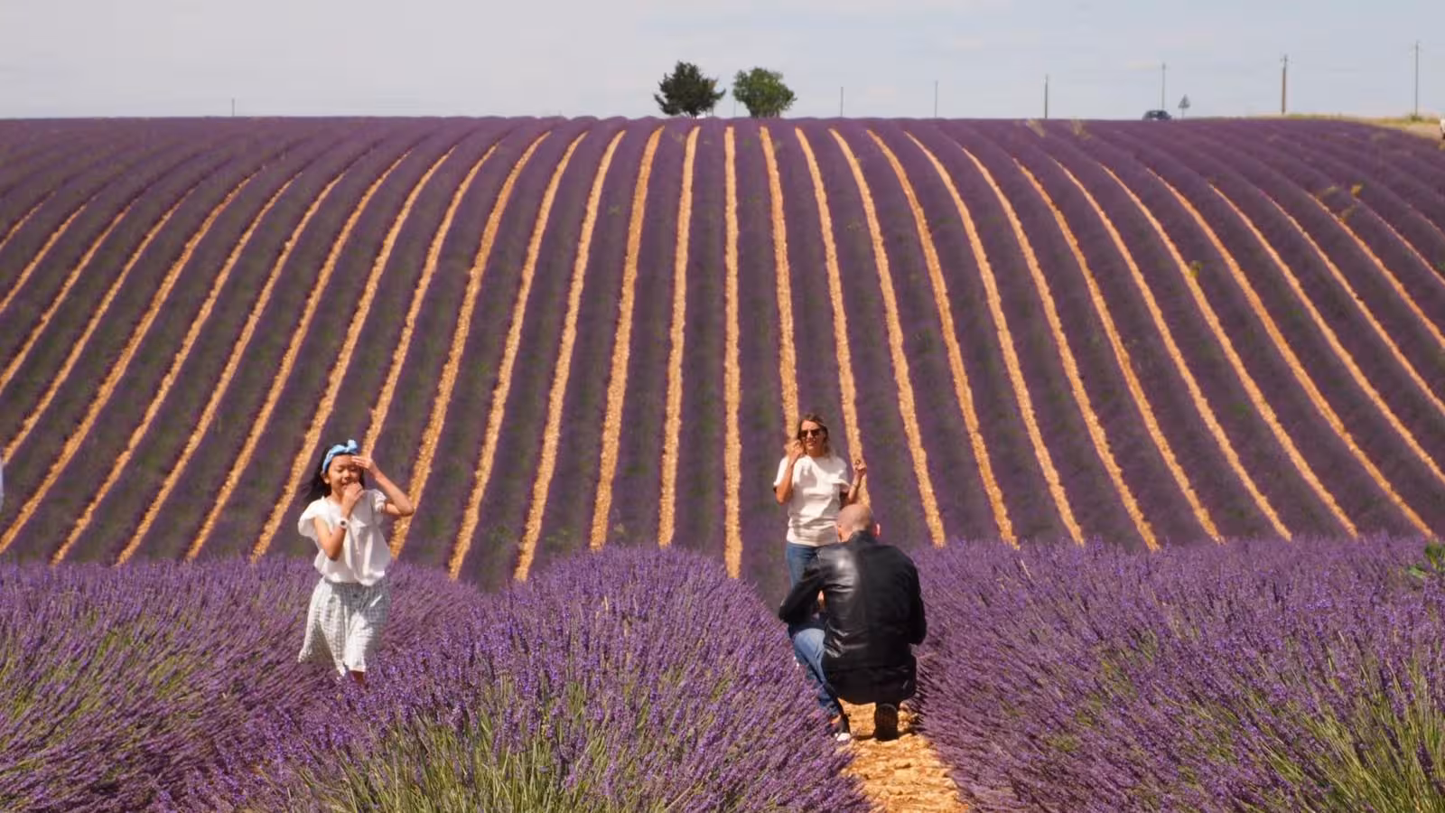 Visitors posing for photos in Provence lavender fields with purple rows in bloom, highlight of a private day trip