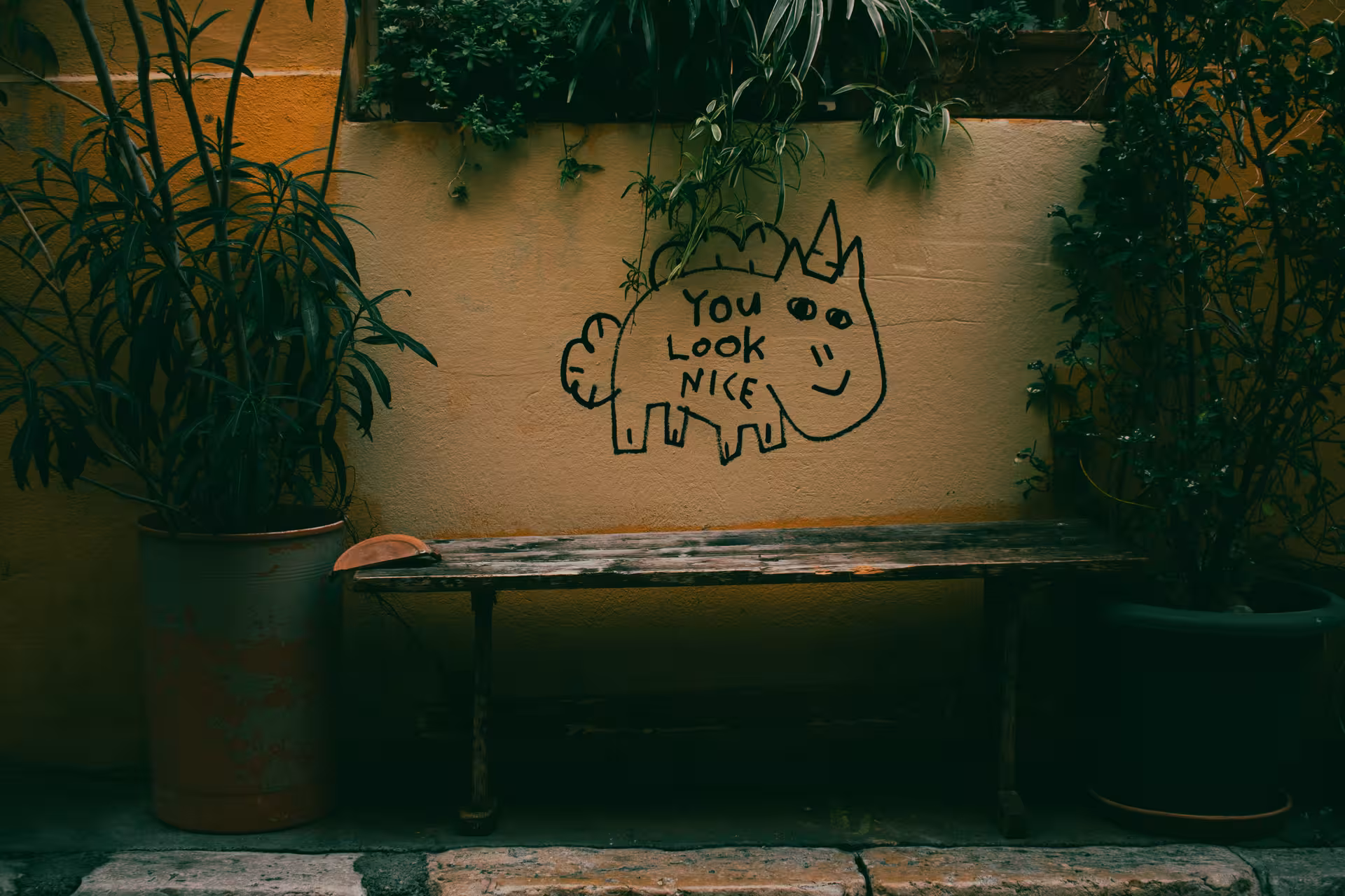 Playful street art and bench in Le Panier, Marseille, on a guided walking tour of the oldest neighborhood