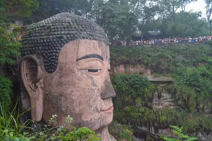 Close-up view of the Leshan Giant Buddha's serene face surrounded by lush greenery in Sichuan, China.