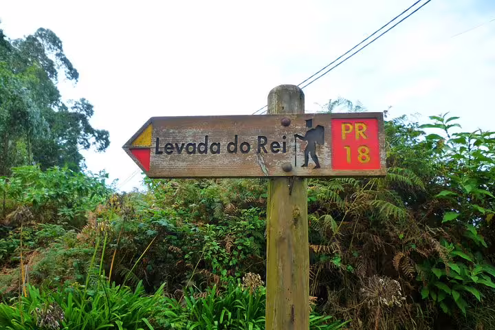 Wooden signpost for Levada do Rei PR18 hiking trail amidst vibrant greenery in Madeira's scenic landscape.