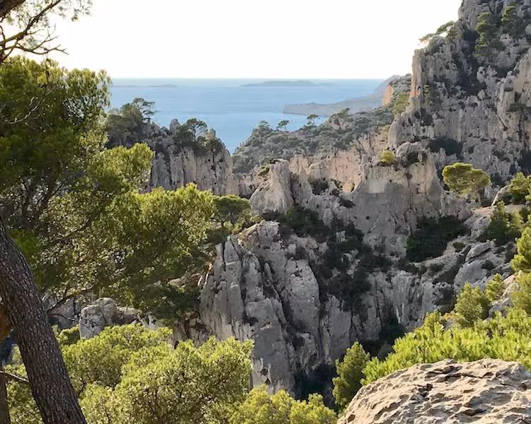 Limestone pinnacles and pine forest overlooking the sea on En-Vau and Port-Pin Calanques hiking tour