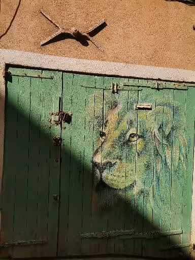 Lion street art painted on a weathered green door in the old district, a highlight of the street art tour