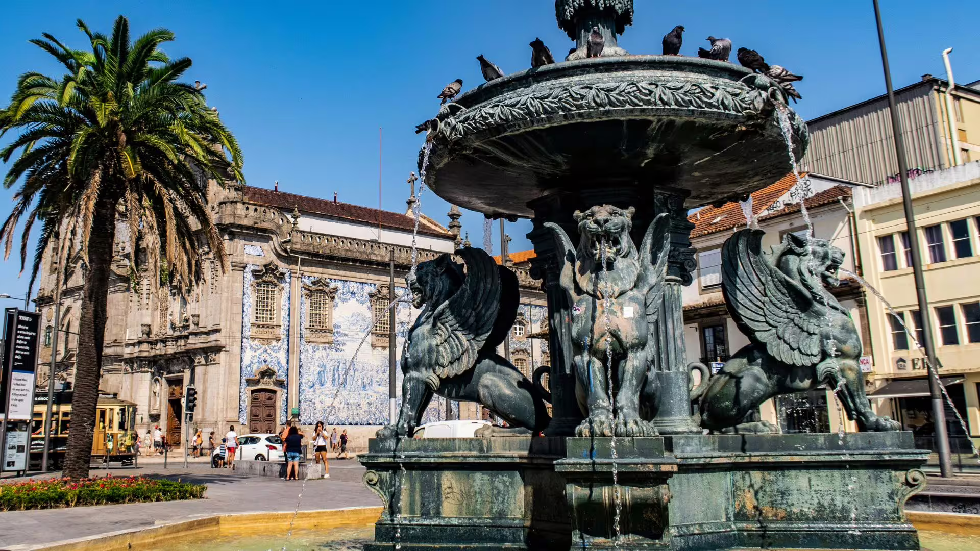 Image of the Lions Fountain in front of the University of Porto, our meeting point for Cooltour Oporto's Porto Fado & Wine Tour