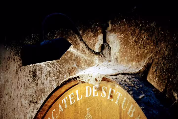 Aged wine barrel in a rustic Lisbon cellar, showcasing the heritage of Setúbal wines and offering an authentic tasting experience.
