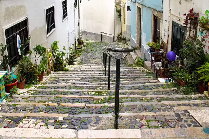 Charming narrow cobblestone steps in Lisbon's Alfama district, lined with plants and vibrant local art, perfect for a private tour.